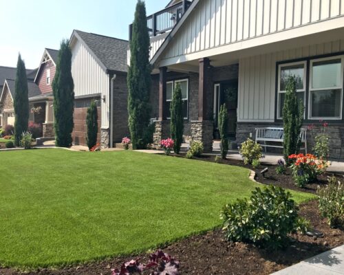 Artificial Turf