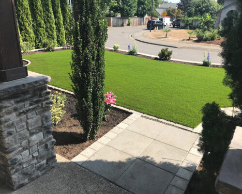 Artificial Turf